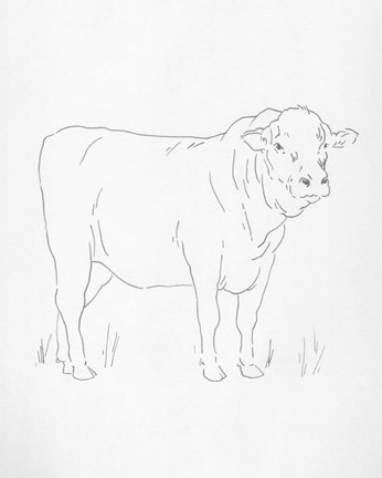 Framed Limousin Cattle I Print