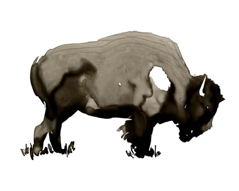 Framed Monochrom Bison I Print