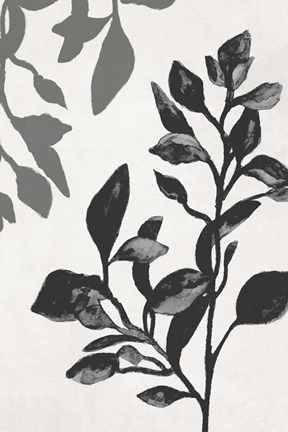 Framed Botanical In Noir I Print