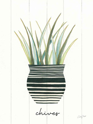 Framed Herb Garden VI Print