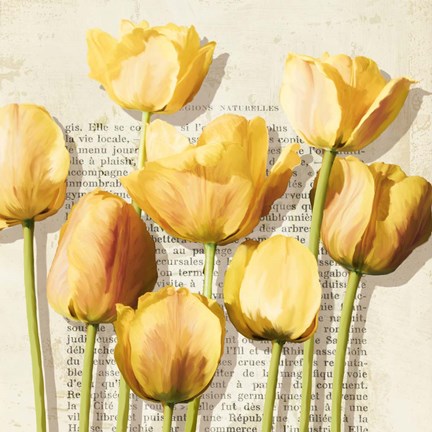 Framed Histoires de Tulipes (detail) Print