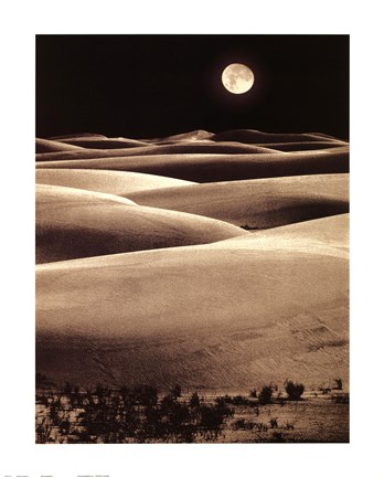 Framed Desert Dreams I Print