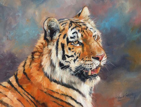 Framed Tiger On Crushed Colors Print