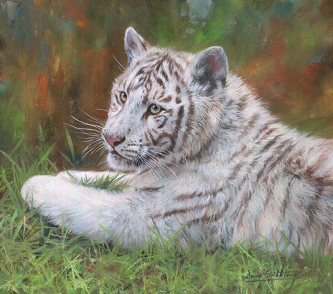 Framed White Tiger Cub Print
