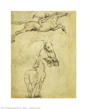 Framed Sketch of a Horse Print