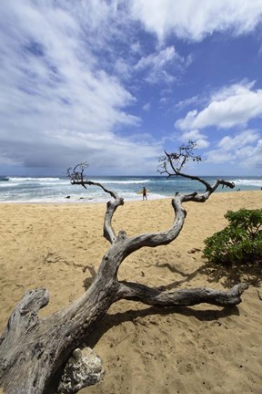 Framed Driftwood and Surfer on a Beach in Oahu, Hawaii Print
