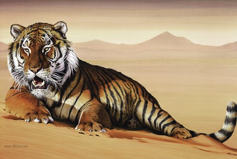 Framed Tiger In Sand Print