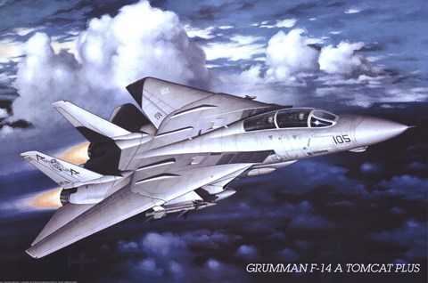 Framed Grumman F-14 Tomcat Print