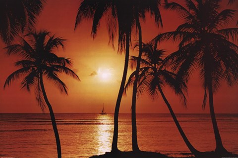 Framed Caribbean Sunset Print
