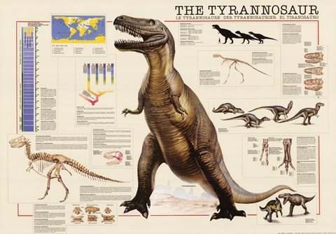 Framed Tyrannosaur Print