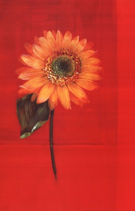 Framed Flower on Red Print