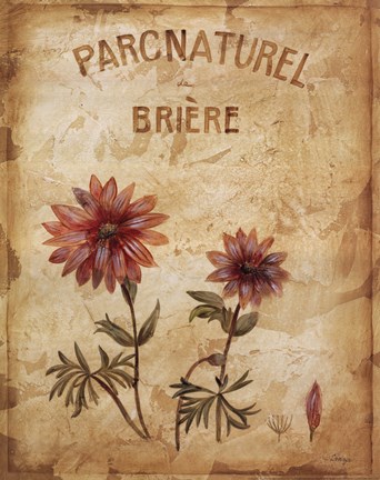 Framed Parcnaturel I Print
