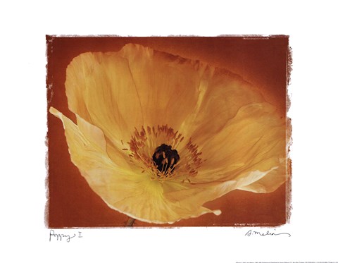 Framed Poppy I Print