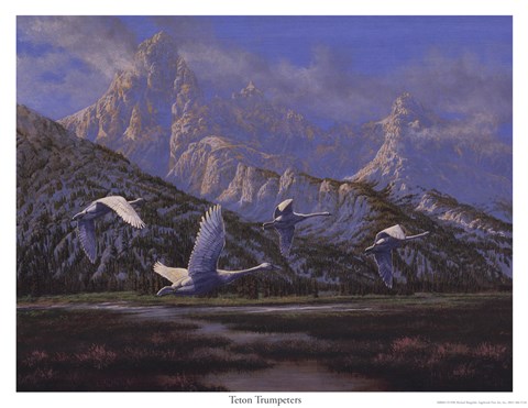 Framed Teton Trumpeters Print