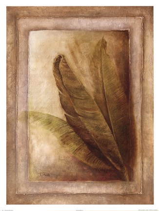 Framed Palm Leaf Impression II Print