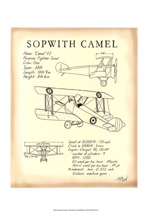 Framed Sopwith Camel Print