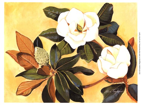 Framed Southern Magnolia I Print