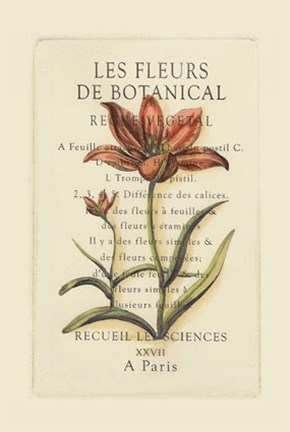 Framed Le Fleurs Botanique (SF) I Print