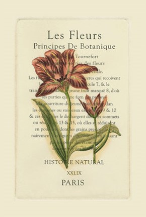 Framed Le Fleurs Botanique (SF) II Print