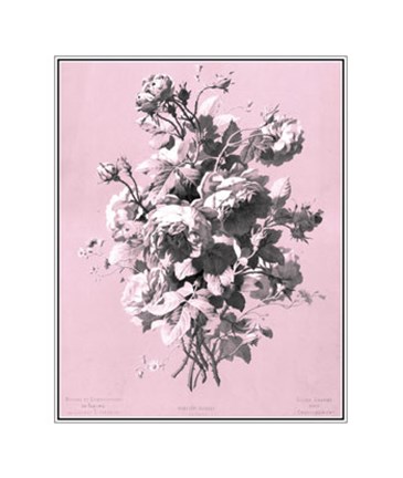 Framed Roses on Pink Print