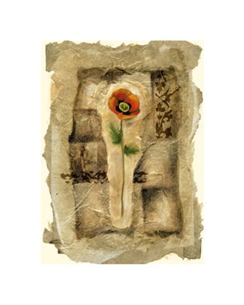 Framed Gilded Poppy II Print