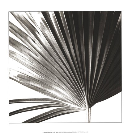Framed Black and White Palm IV Print