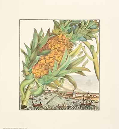 Framed Pineapple With Ships Print