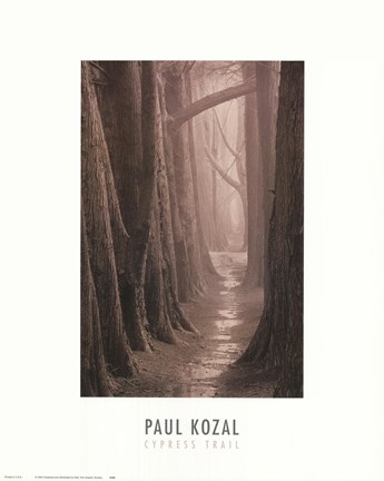 Framed Cypress Trail Print