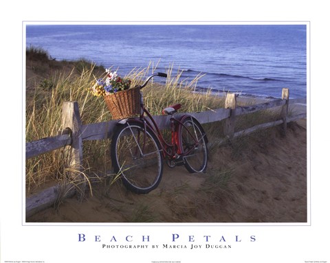 Framed Beach Petals Print