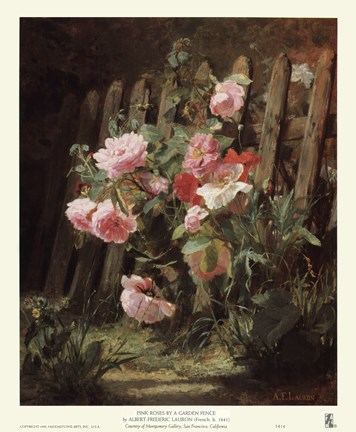 Framed Pink Roses by a Garden Fence Print