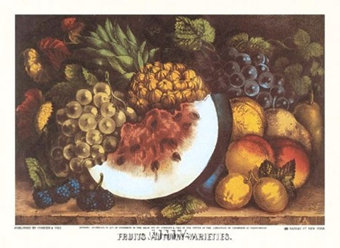 Framed Fruits Autumn Varieties Print