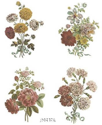 Framed Florals (Set of Four) Print