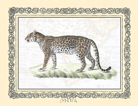 Framed Leopard framed Print