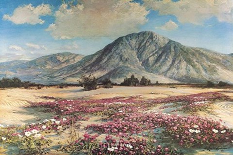 Framed Desert in Spring Print