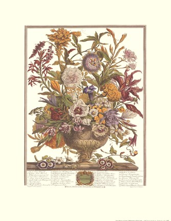 Framed September/Twelve Months of Flowers, 1730 Print