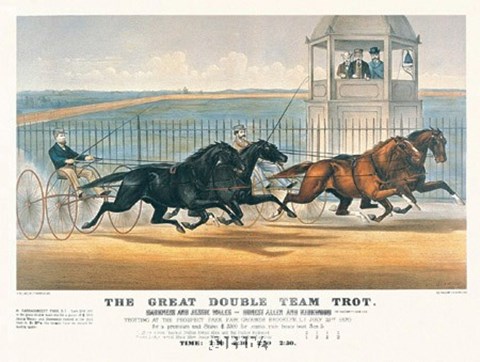 Framed Great Double Team Trot Print