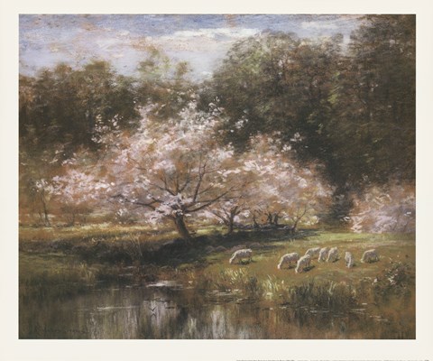 Framed Sheep Grazing Under Apple Blossoms Print
