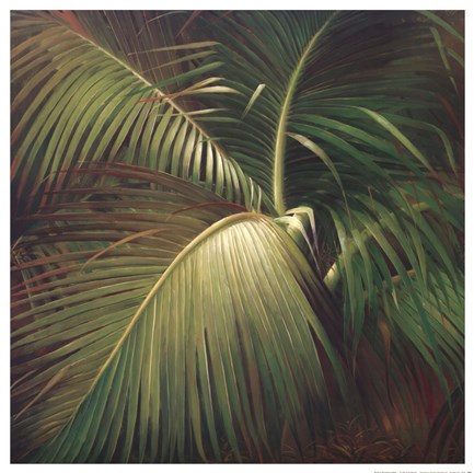 Framed Tropical Seclusion Print