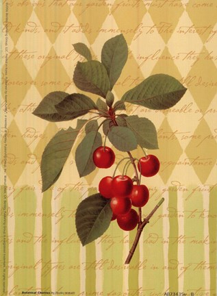 Framed Botanical Cherries Print