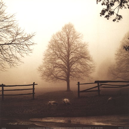 Framed Morning Texture Print