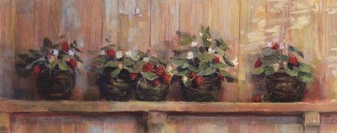 Framed Strawberries in Pots Print