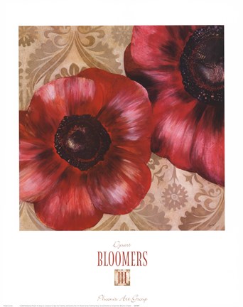Framed Bloomers III Print