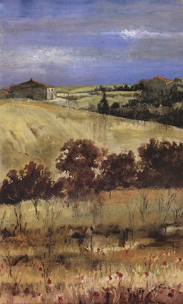 Framed Tuscan Daylight II Print