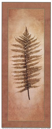 Framed Ferns Palms III Print