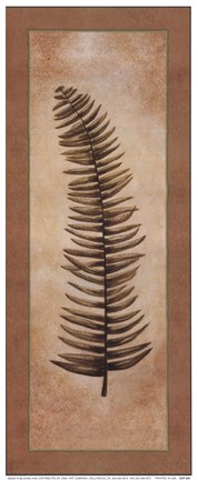 Framed Ferns Palms IV Print