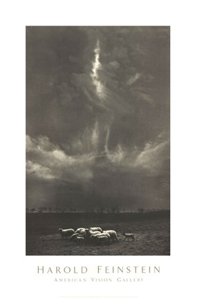 Framed Sheep Under Cloud Print