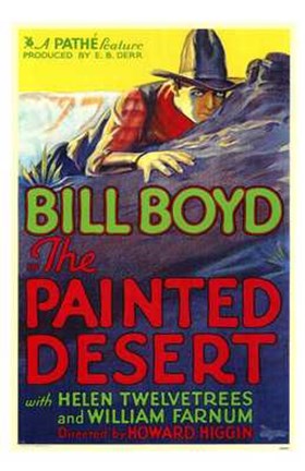 Framed Painted Desert Print