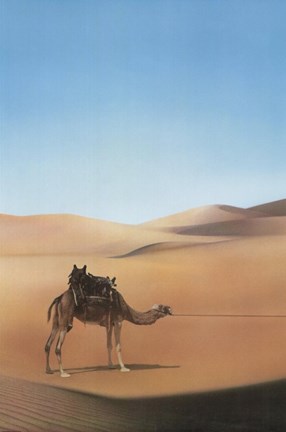 Framed Ishtar Camel in Desert Print