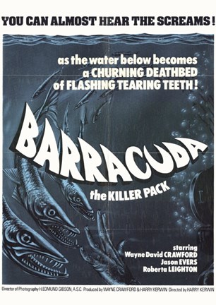 Framed Barracuda Print