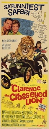Framed Clarence Cross Eyed Lion Print